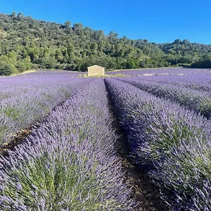 https://superbe-appartement-avec-magnifique-vue.fr-provencehotel.com